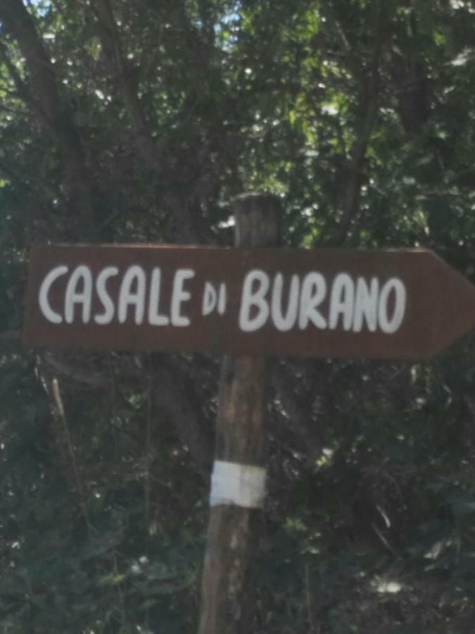 Casale Di Burano Apartment Onano Екстериор снимка